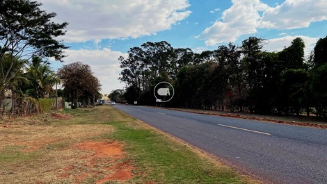 Nook of the birds 02