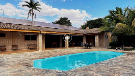 Nook of the birds 02