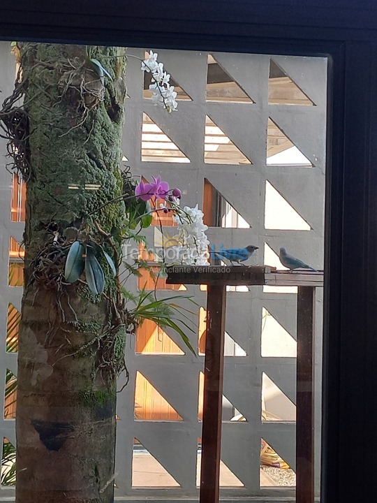 Casa para aluguel de temporada em Caraguatatuba (Poiares)