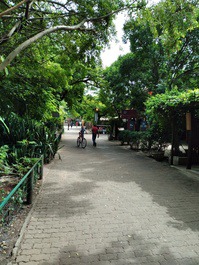 Aluga-se casa 3 andares Praia do forte