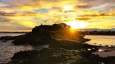 Large apartment with swimming pool with ample commerce and close to the beaches