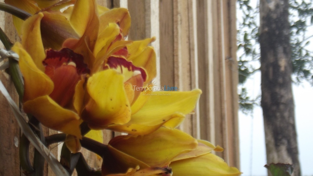 Chácara / sítio para aluguel de temporada em Morrinhos do Sul (Estrada da Perdida)