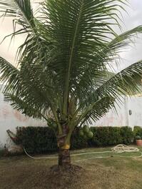 Casa de andar com 3/4 na praia da caueira a 200 m da areia