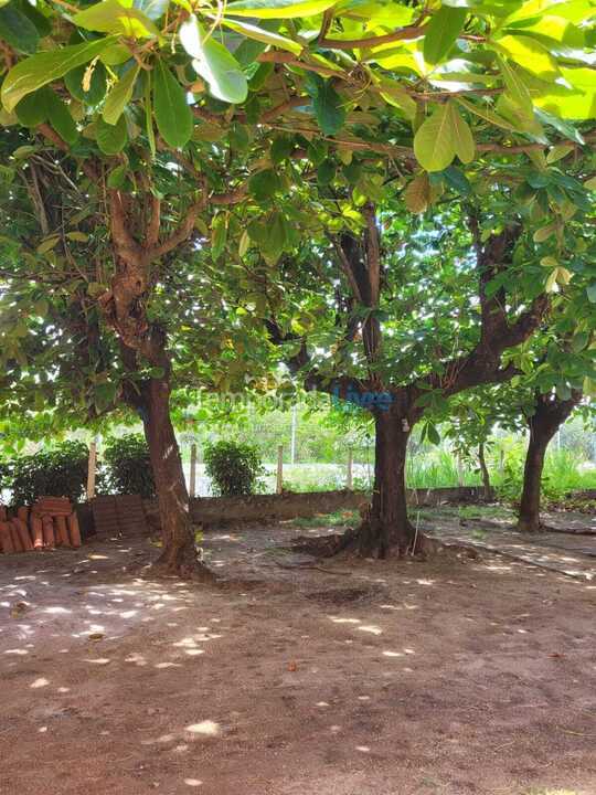 House for vacation rental in Porto de Galinhas (Porto de Galinhas)