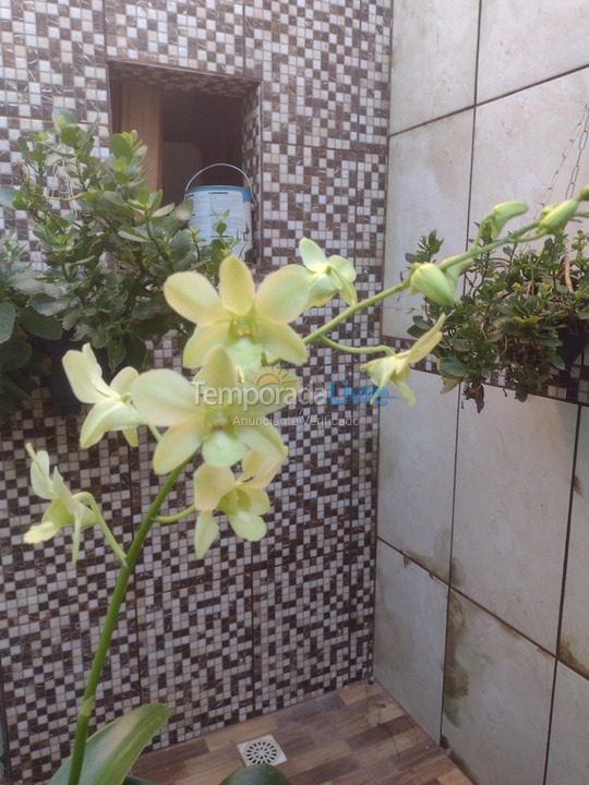 House for vacation rental in Olímpia (Harmonia)