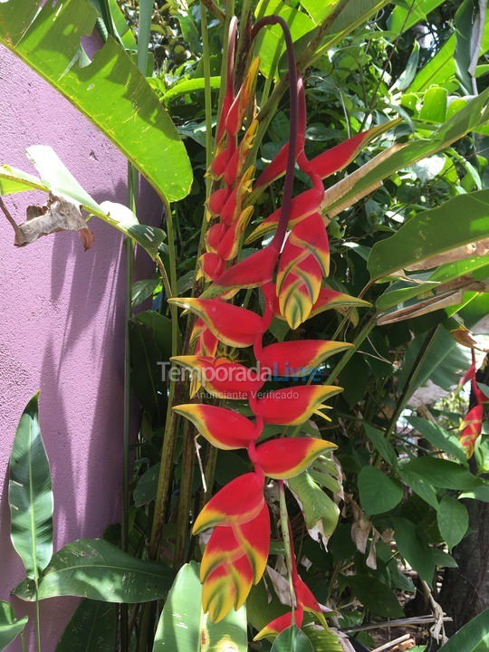 Casa para alquiler de vacaciones em Bertioga (Costa do Sol)