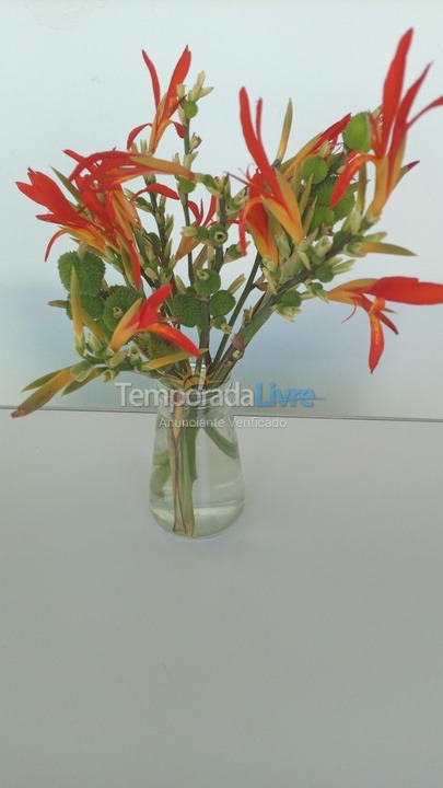 Casa para aluguel de temporada em Bombinhas (Mariscal)