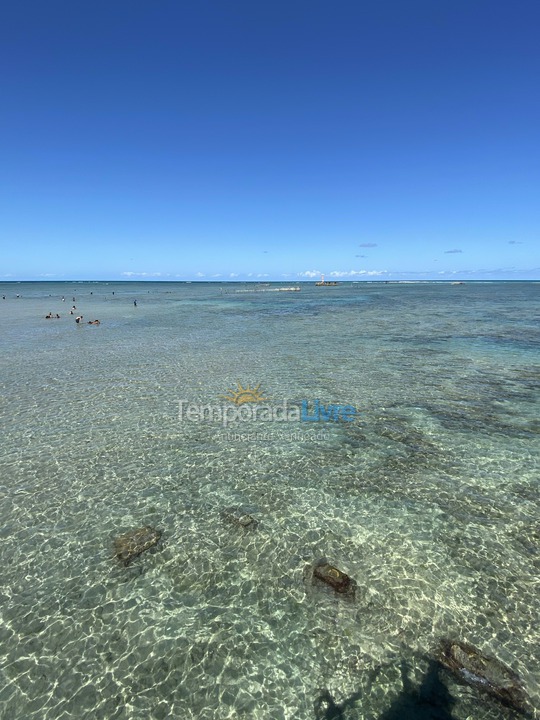 Apartamento para aluguel de temporada em Maceió (Ponta Verde)
