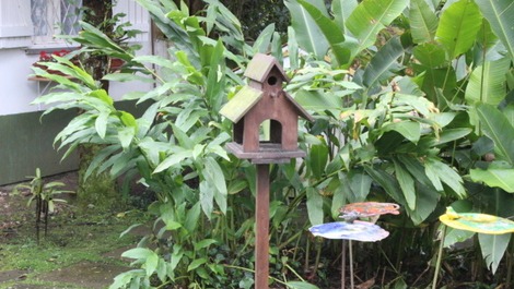 Vista externa pátio com casa e bebedouros para pássarinhos
