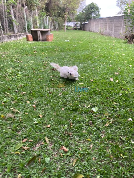 Chácara / sítio para aluguel de temporada em Atibaia (Bairro da Usina)
