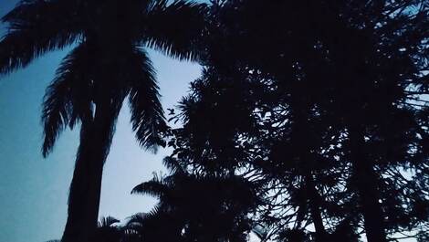 Entardecer no paraíso 