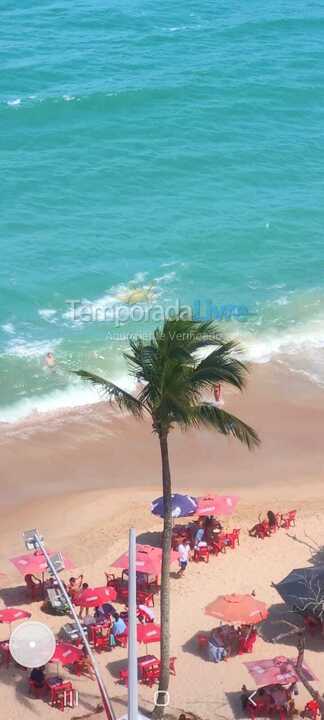 Apartamento para aluguel de temporada em Caraguatatuba (Martim de Sá)