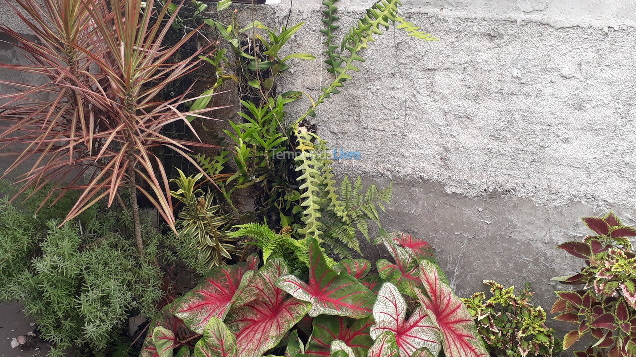 Apartamento para aluguel de temporada em Itapoá (Balneário Rio Gracioso)