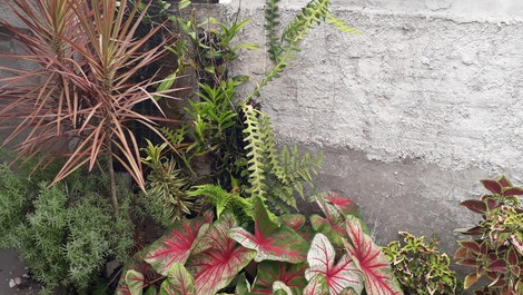 Residencial PARAÍSO - APTOs 80m da Praia, C/AR e Wi-Fi.