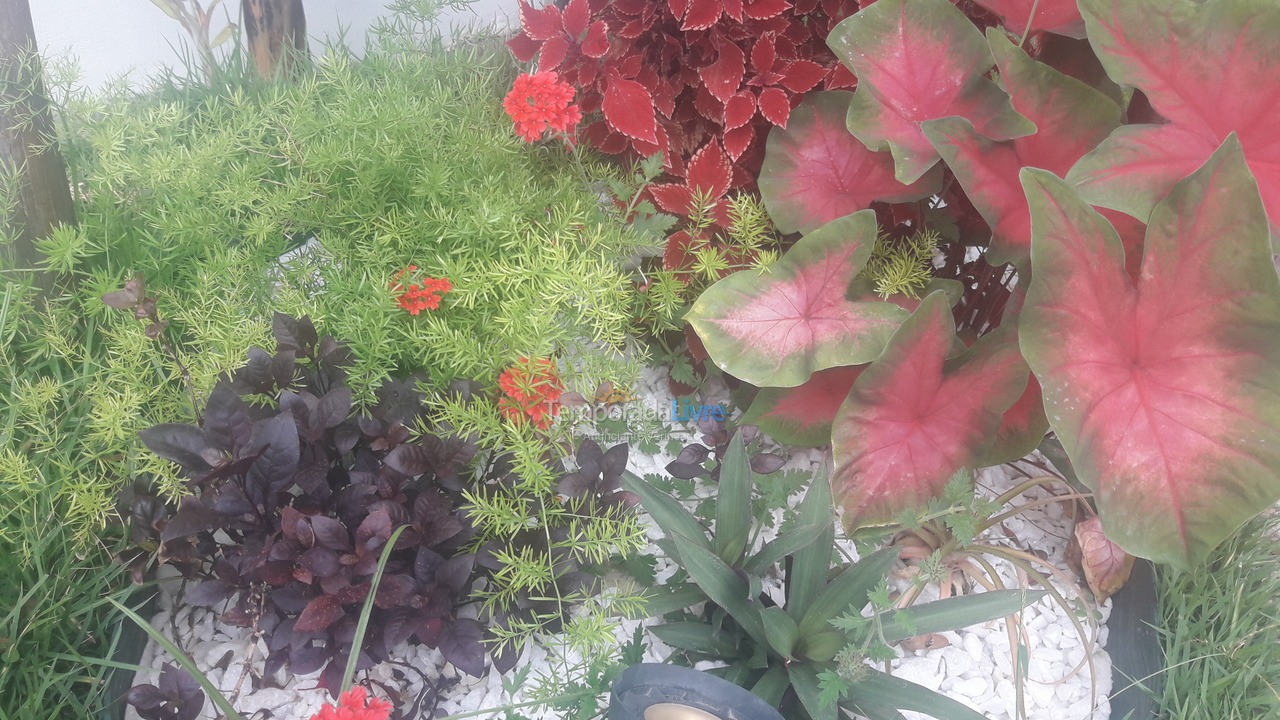 Casa para alquiler de vacaciones em Arraial D'ajuda (Pedra Azul Entre Praias de Pitinga E Taipe)