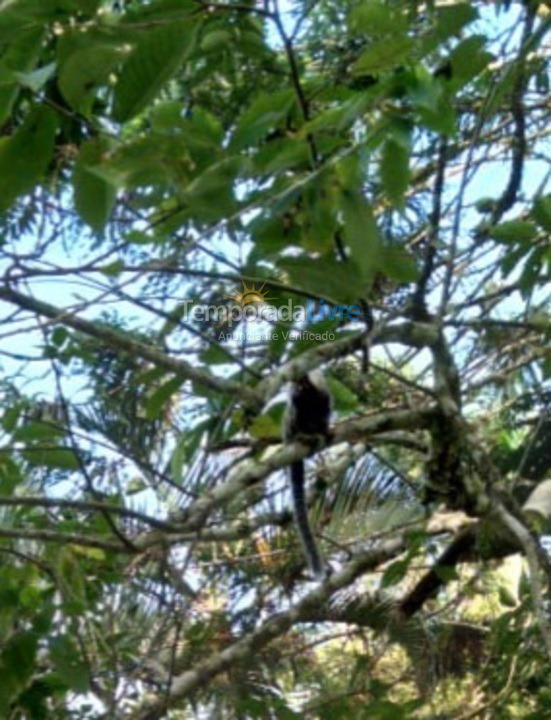 Granja para alquiler de vacaciones em Pedro de Toledo (Pedro de Toledo)
