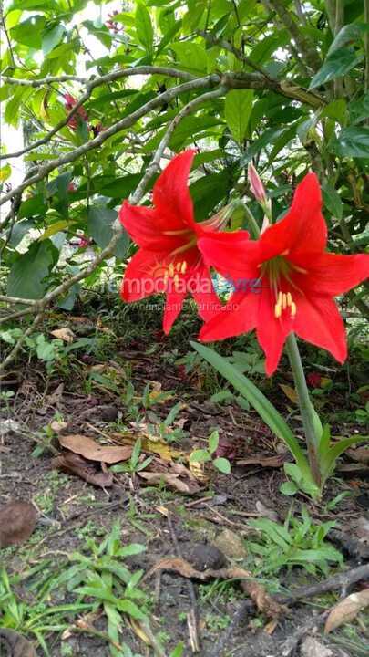 Granja para alquiler de vacaciones em Pedro de Toledo (Pedro de Toledo)
