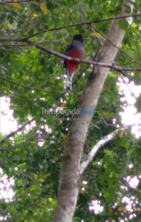 Granja para alquiler de vacaciones em Pedro de Toledo (Pedro de Toledo)