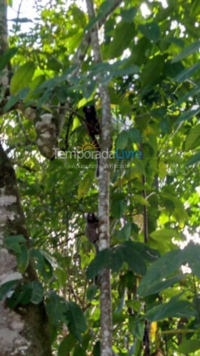 Granja para alquiler de vacaciones em Pedro de Toledo (Pedro de Toledo)