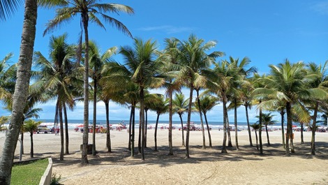 Apartamento para alquilar en Praia Grande - Aviação