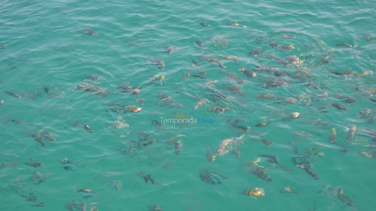 House for vacation rental in Paraty (Areal do Taquari)