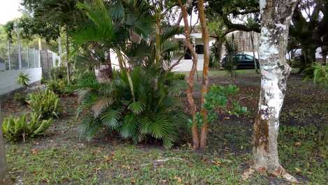 Confortante ... natureza .