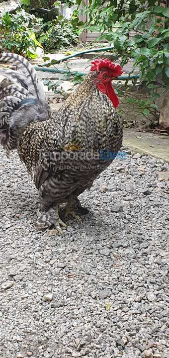 Casa para alquiler de vacaciones em Cabo Frio (Palmeiras)