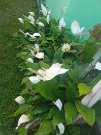 Acogedora y relajante casa en Trancoso