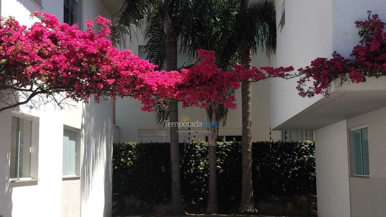 Apartamento para aluguel de temporada em Florianopolis (Praia dos Ingleses)