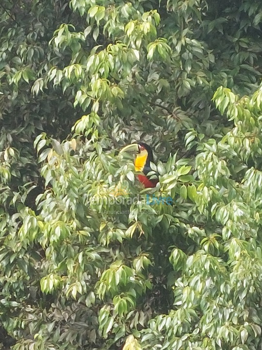 Ranch for vacation rental in Mampituba (Vila Brocca)