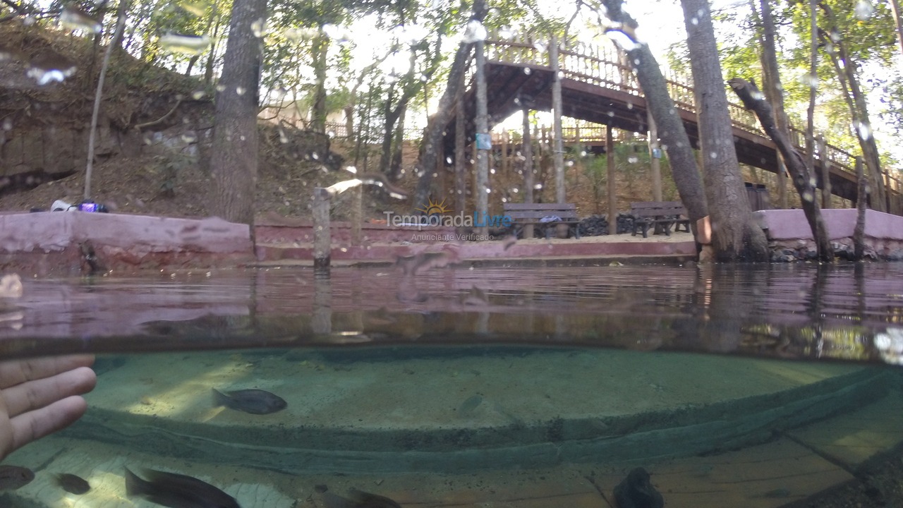 Apartamento para aluguel de temporada em Rio Quente (Esplanada do Rio Quente)