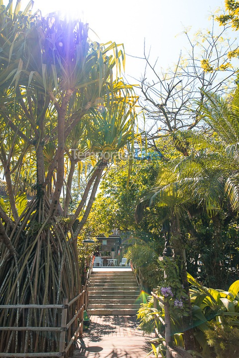 Casa para aluguel de temporada em São Sebastião (Juquehy)