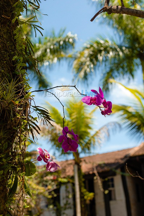 Casa para aluguel de temporada em São Sebastião (Juquehy)