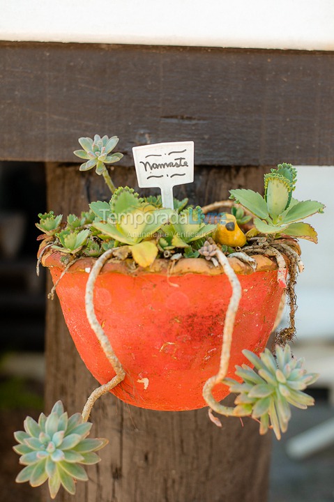 Casa para aluguel de temporada em São Sebastião (Juquehy)