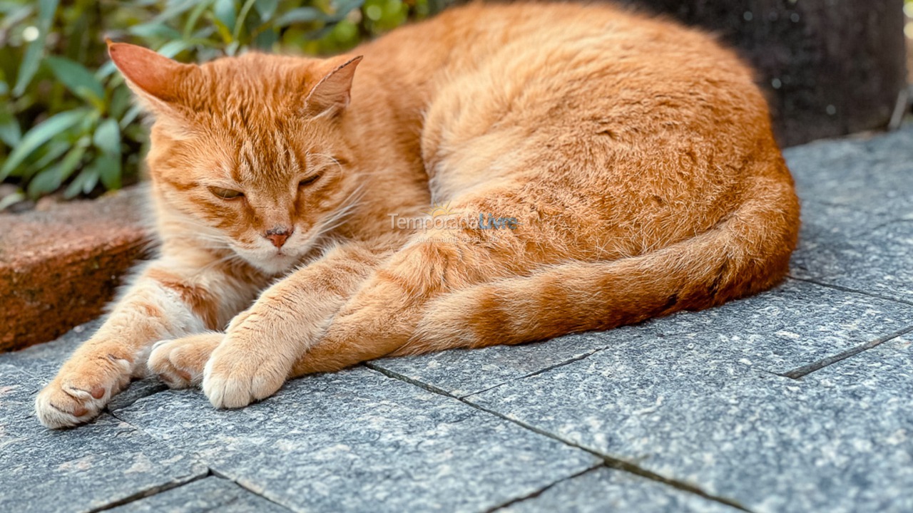 Casa para aluguel de temporada em São Sebastião (Juquehy)