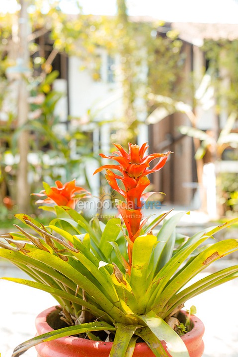 Casa para aluguel de temporada em São Sebastião (Juquehy)