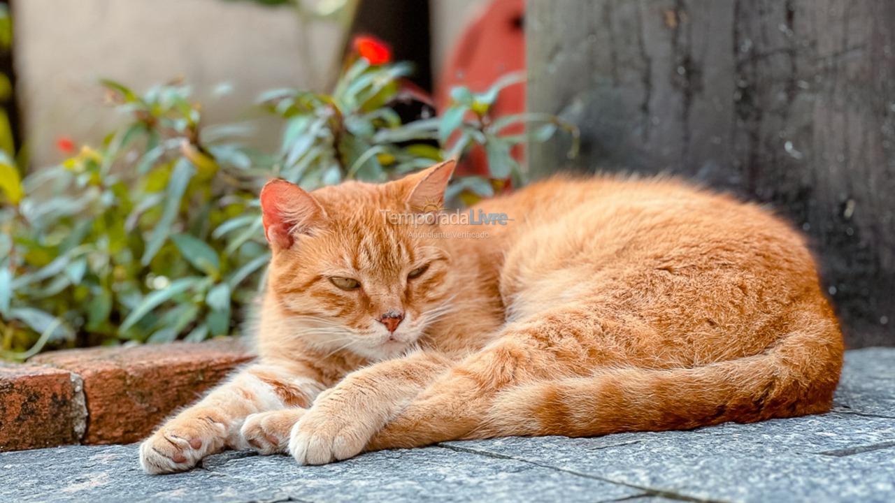 Casa para aluguel de temporada em São Sebastião (Juquehy)