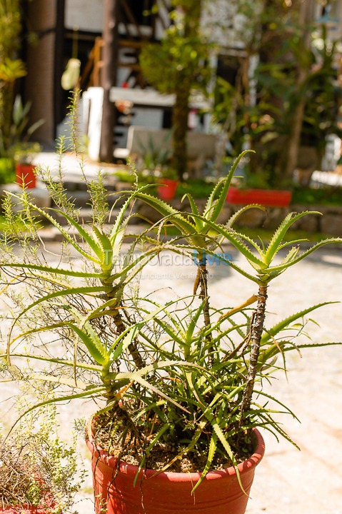 Casa para aluguel de temporada em São Sebastião (Juquehy)