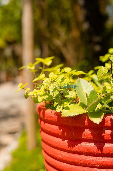 Casa para aluguel de temporada em São Sebastião (Juquehy)