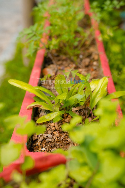 Casa para aluguel de temporada em São Sebastião (Juquehy)