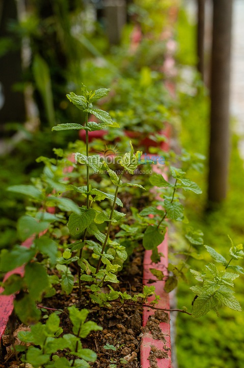 Casa para aluguel de temporada em São Sebastião (Juquehy)