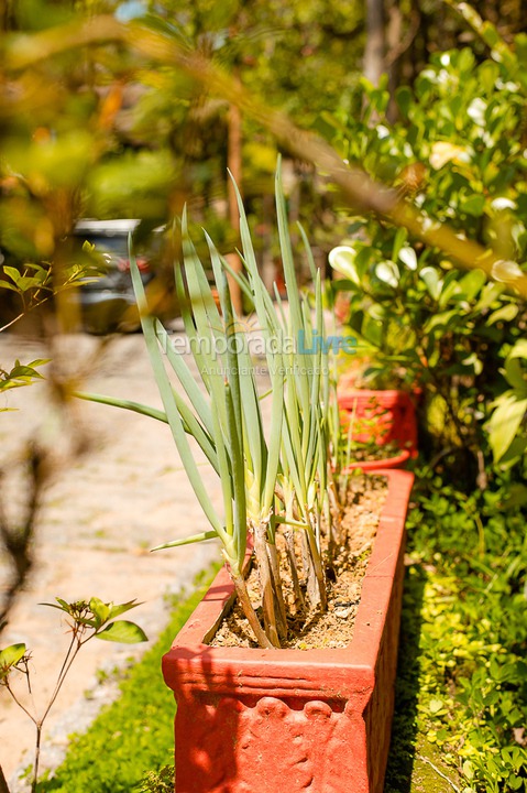 Casa para aluguel de temporada em São Sebastião (Juquehy)