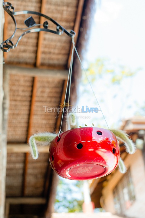Casa para aluguel de temporada em São Sebastião (Juquehy)