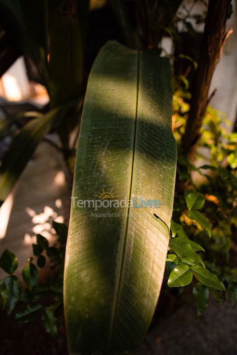 Casa para aluguel de temporada em São Sebastião (Juquehy)