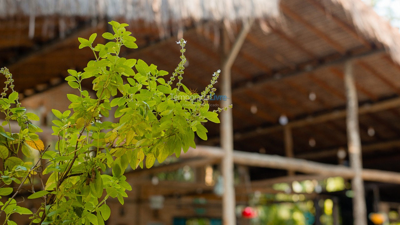 Casa para aluguel de temporada em São Sebastião (Juquehy)