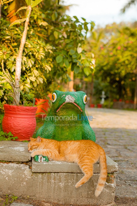 Casa para aluguel de temporada em São Sebastião (Juquehy)
