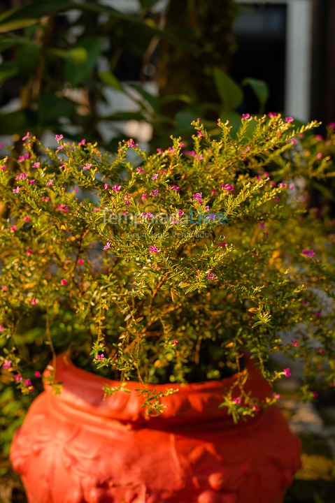Casa para aluguel de temporada em São Sebastião (Juquehy)