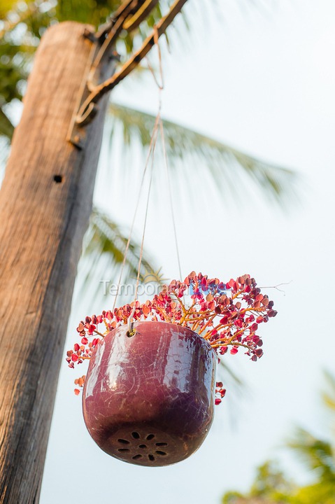 Casa para aluguel de temporada em São Sebastião (Juquehy)