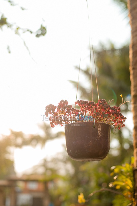 Casa para aluguel de temporada em São Sebastião (Juquehy)