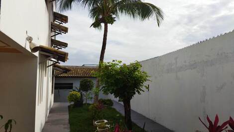 Detalhe lateral esquerda - coqueiro